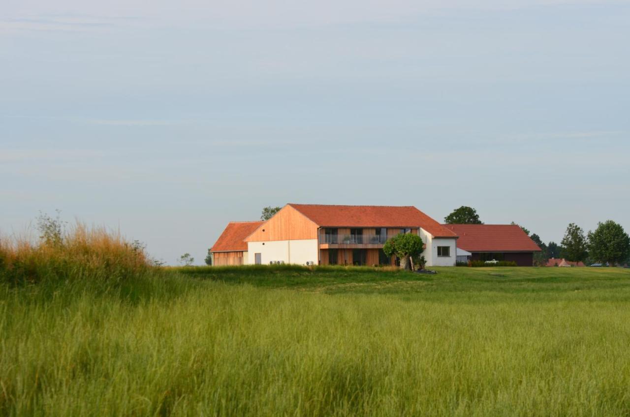 Oversteekhof Roesbrugge-Haringe Esterno foto