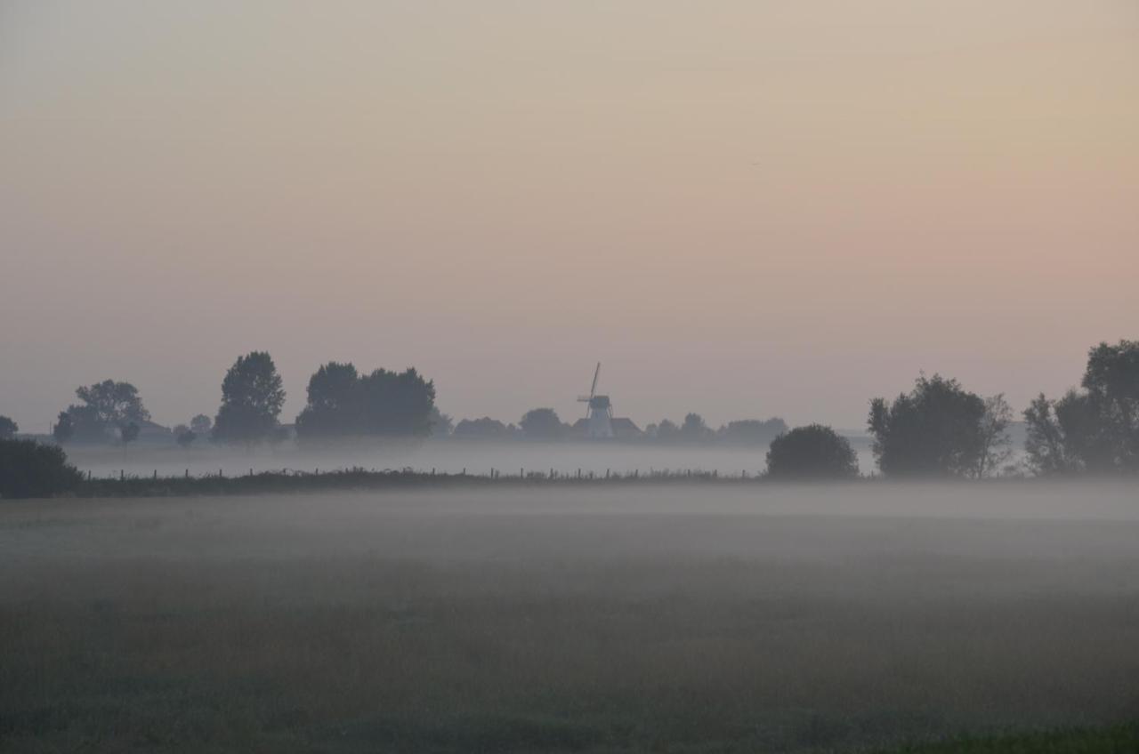 Oversteekhof Roesbrugge-Haringe Esterno foto
